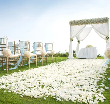 Party Lawn